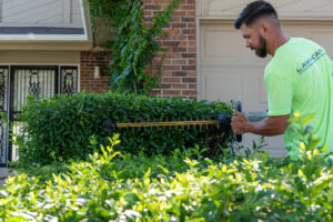 A lawn care professional from Green Team Denver, CO, expertly trimming a hedge in front of a house.
