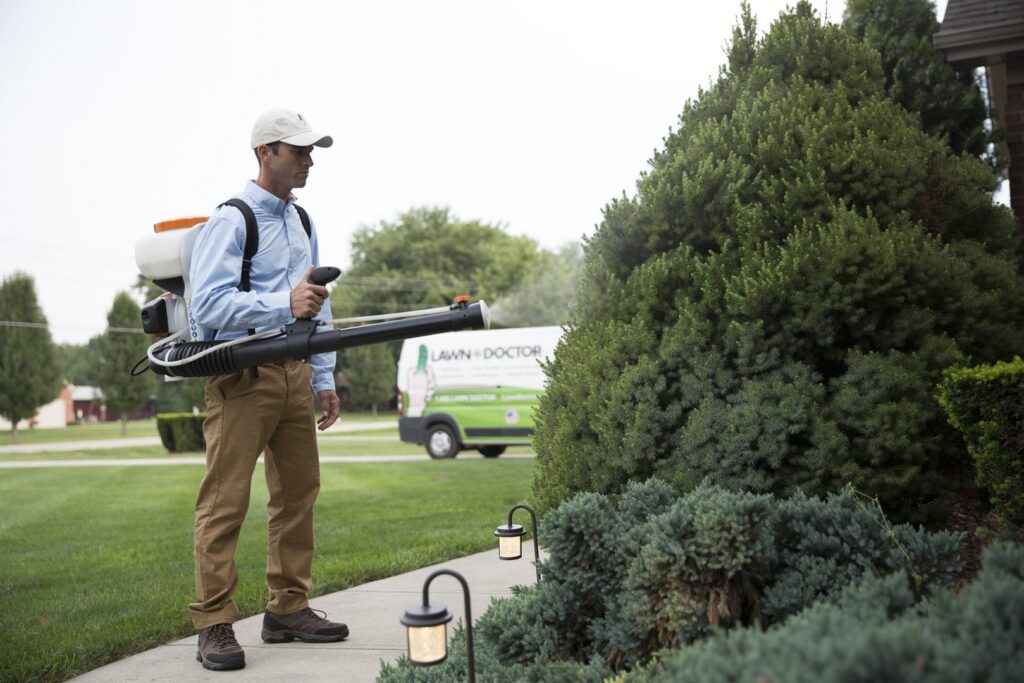 A Lawn Doctor specialist spraying shrubs with a backpack sprayer in Carmel, IN, providing tree and shrub care.