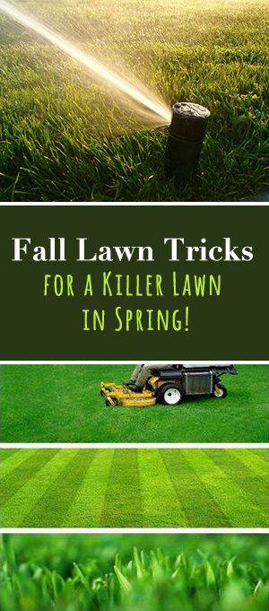 A composite image showing a sprinkler, a riding mower, and perfectly striped grass by Tim's Lawn Care Service Inc in Lafayette, LA.