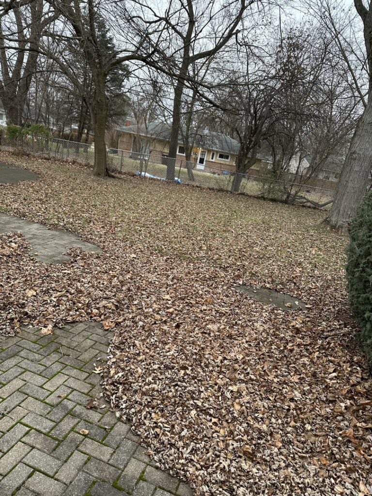 A lawn covered in fallen leaves, indicating leaf removal services by Geno's Father & Son Lawn Services Llc in Hammond, IN