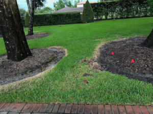 Lawn showing brown patches and red flags for pest inspection or treatment by EPLS in Orlando, FL.
