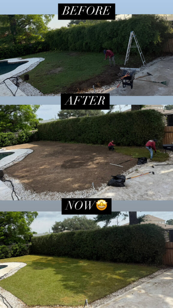 A multi-panel image showing the before, during, and after stages of a lawn installation and renovation project by God's Sight Lawn & Gardens LLC in New Orleans, LA