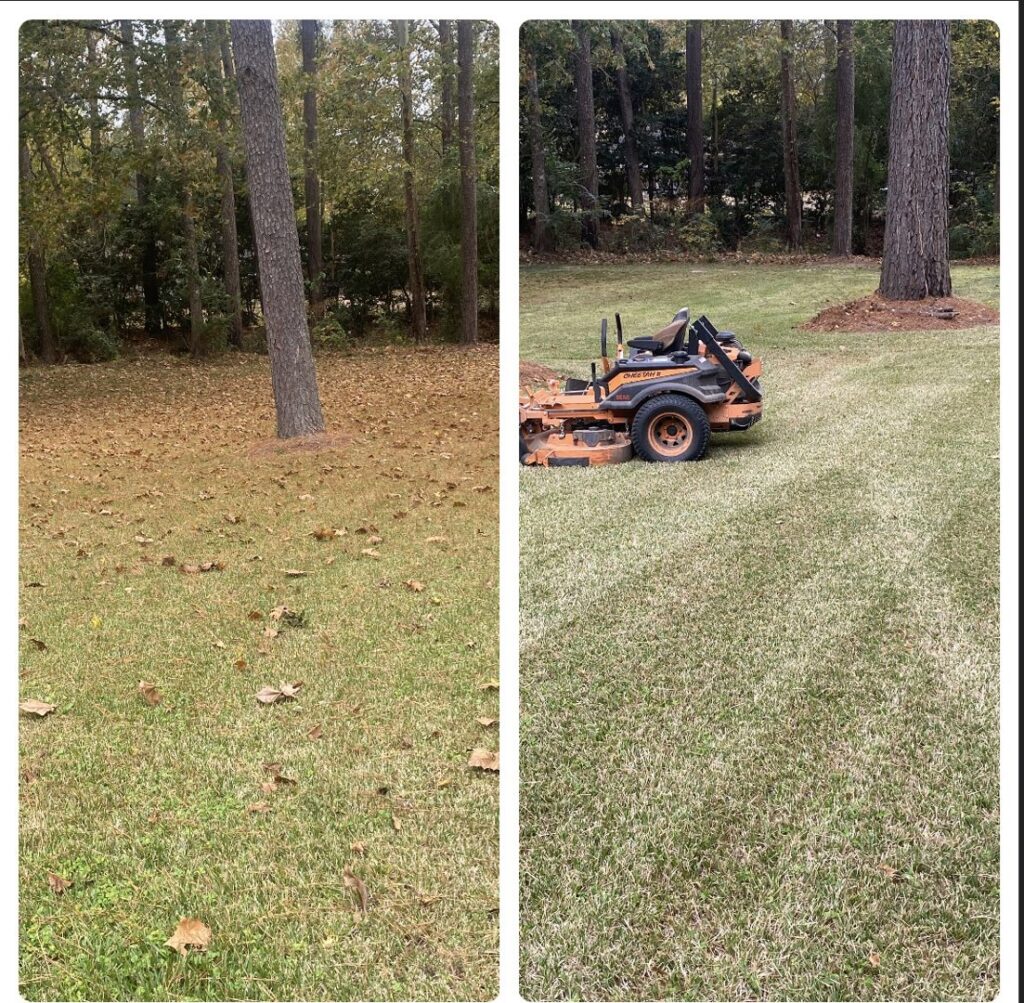 A before and after comparison showing a lawn after mowing and leaf cleanup by Cenla Lawn Pros in Alexandria, LA