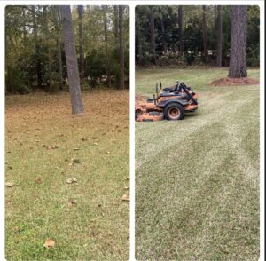 A before and after comparison showing a lawn after mowing and leaf cleanup by Cenla Lawn Pros in Alexandria, LA
