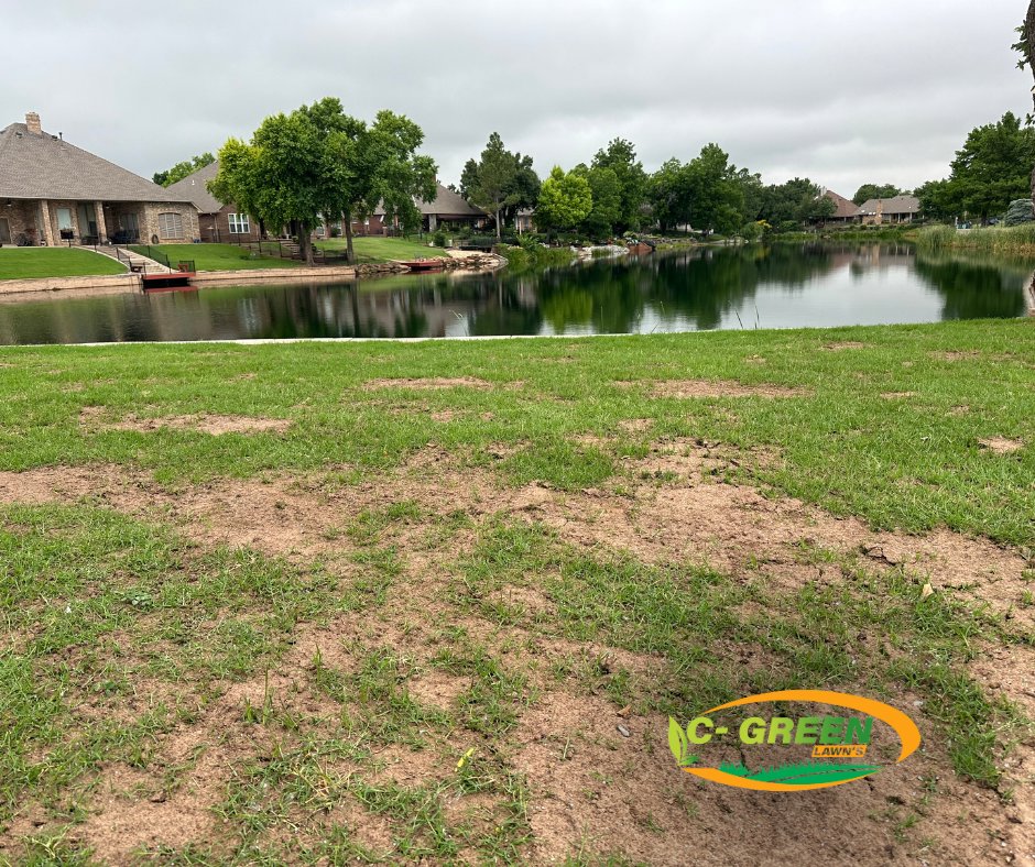 A patchy lawn undergoing renovation or seeding near a pond at a residential property by C-Green Lawns in Yukon, OK.