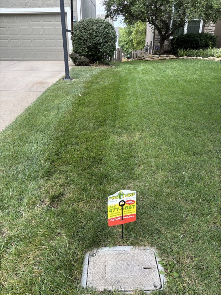 A residential lawn showing a visible treatment line and a utility box, indicating a recent service by Nebraska Pro Turf & Pro Pest Solutions in Omaha, NE.
