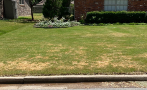 A lawn showing brown, dead patches, indicating a need for pest control services from Pinkston's Turf Services in Tulsa, OK.