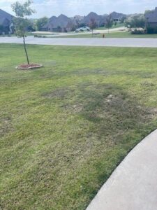 A residential lawn with brown patches, indicating possible grub damage, a pest control issue for Dr. Green Services in Joliet, IL