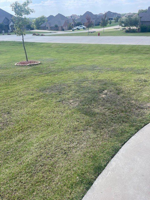 A residential lawn with brown patches, indicating possible grub damage, a pest control issue for Dr. Green Services in Joliet, IL