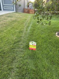 A residential lawn showing a visible treatment line from a recent application by Nebraska Pro Turf & Pro Pest Solutions in Omaha, NE.