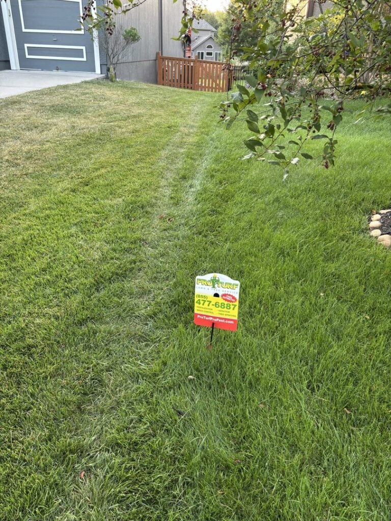 A residential lawn showing a visible treatment line from a recent application by Nebraska Pro Turf & Pro Pest Solutions in Omaha, NE.