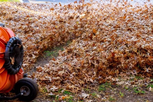 A powerful leaf blower moving autumn leaves during a yard cleanup by Greener Grounds Lawn and Tree in Birmingham, AL