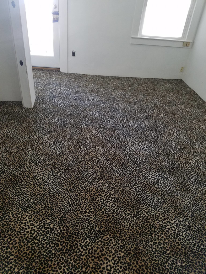 A room showcasing a unique leopard print carpet installation completed by A Floor For You in Denver, CO.