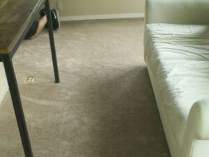 A cozy living room featuring a new light beige carpet installation by Home Based Carpet & Flooring in Cincinnati, OH.