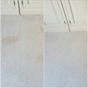 Before and after comparison of a light-colored carpet cleaned by Richmond Kwik Dry in Midlothian, VA.
