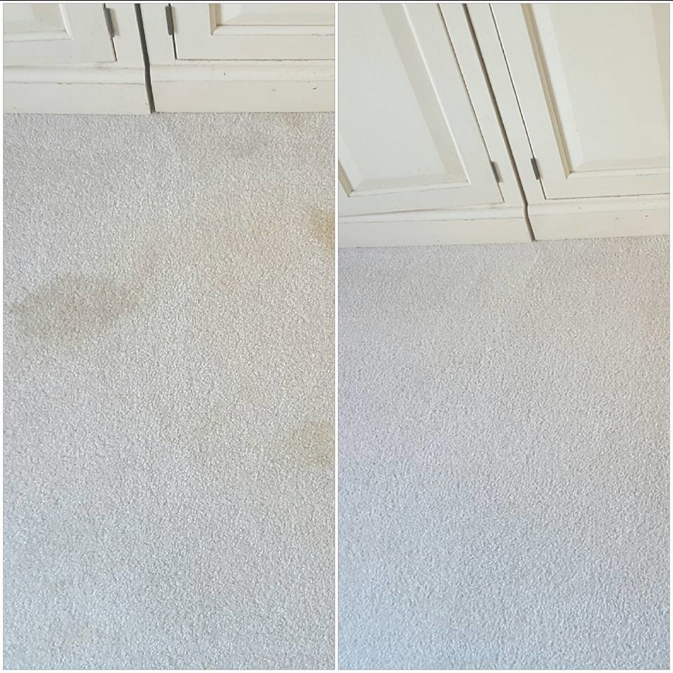 Before and after comparison of a light-colored carpet cleaned by Richmond Kwik Dry in Midlothian, VA.