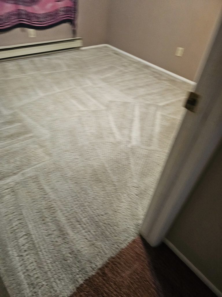 A light-colored carpet with visible cleaning lines after a professional cleaning by Super Clean Carpet Cleaning in Idaho Falls, ID.