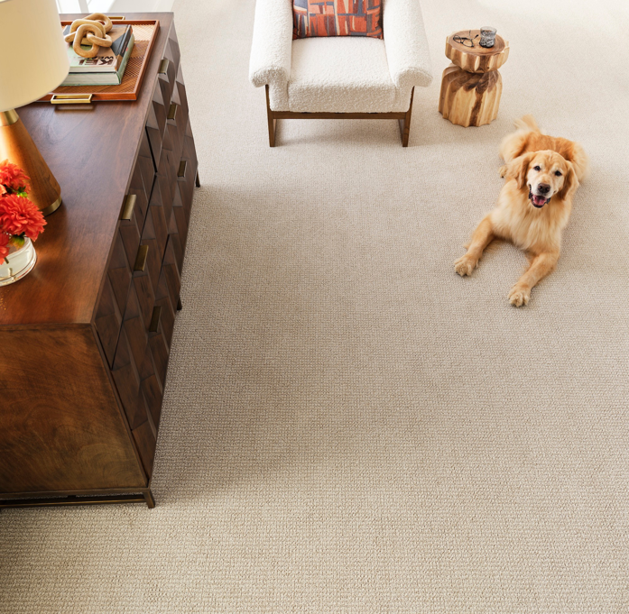 A beautiful light-colored carpet installed in a living room by PCS Flooring LLC in Appleton, WI.
