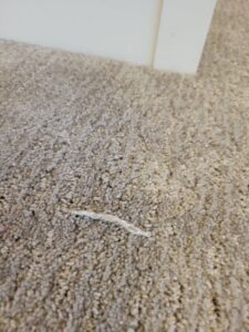 A close-up of light-colored carpet with a loose thread near a white baseboard by Advanced Flooring in Appleton, WI.