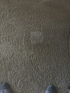 A light-colored stain or discolored area on a carpet needing cleaning or repair by Tucson Carpet Repair & Cleaning in Tucson, AZ.