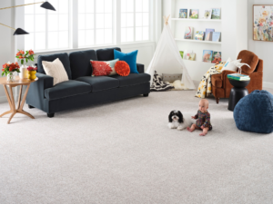 Durable light grey carpet installed in a family-friendly living room by Son Shine Floor Covering LTD, a carpet contractor in Warren, MI.
