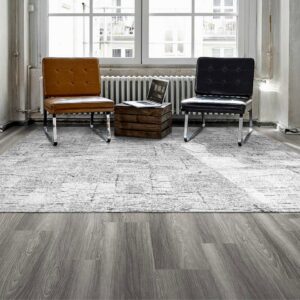 A light grey patterned area rug or carpet enhancing a room's decor, provided by Eastpointe Interiors in Caledonia, MI.