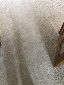 A close-up of a newly installed light-colored, patterned carpet by Grand Rapids Flooring in Grand Rapids, MI.
