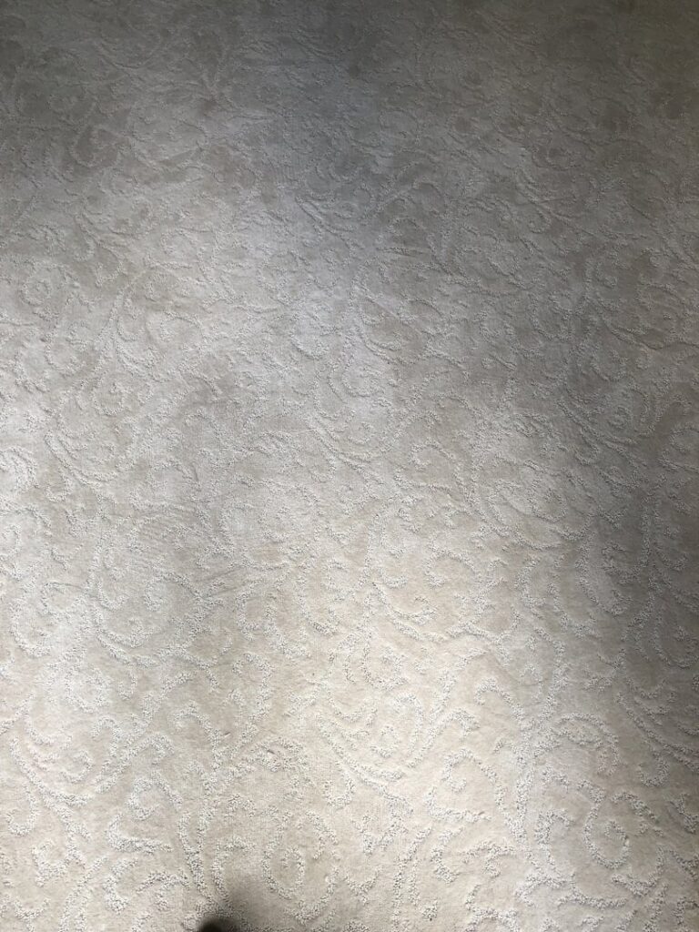 A room showcasing a freshly installed light-colored patterned carpet by Grand Rapids Flooring in Grand Rapids, MI.