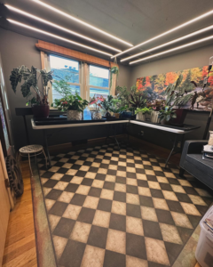 Linear LED strip lighting installed on a ceiling in a room by Electric Avenue in Lincoln, NE.