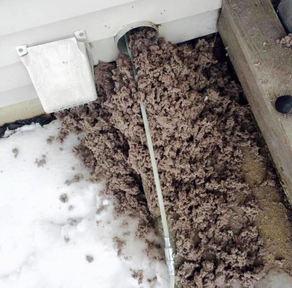 A large pile of lint and debris extracted from an outdoor vent, demonstrating a cleaning service by Fresh N Clean Duct Cleaning in Arvada, CO.