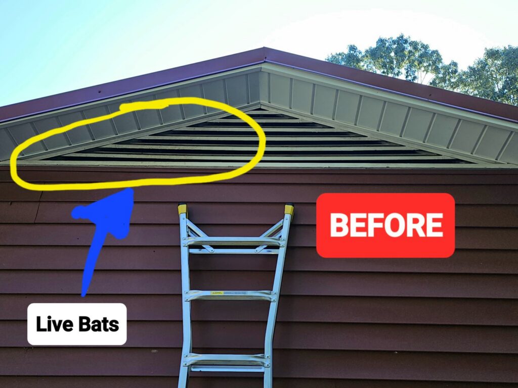 Evidence of live bats in a house gable before exclusion services, a 'before' view from 1 Pest Solution in Winston-Salem, NC.