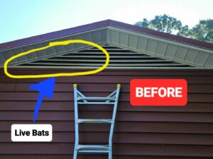 Evidence of live bats in a house gable before exclusion services, a 'before' view from 1 Pest Solution in Winston-Salem, NC.