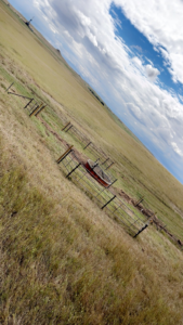 Extensive livestock fencing protecting a water source in a vast pasture, installed by Bighorn Fencing in Williston, ND.