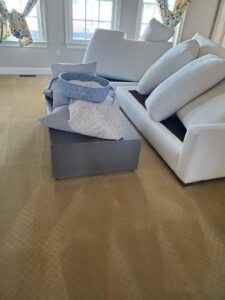 A living area carpet displaying fresh cleaning lines, a result of work by Clean Technologies, LLC in Middletown, PA.