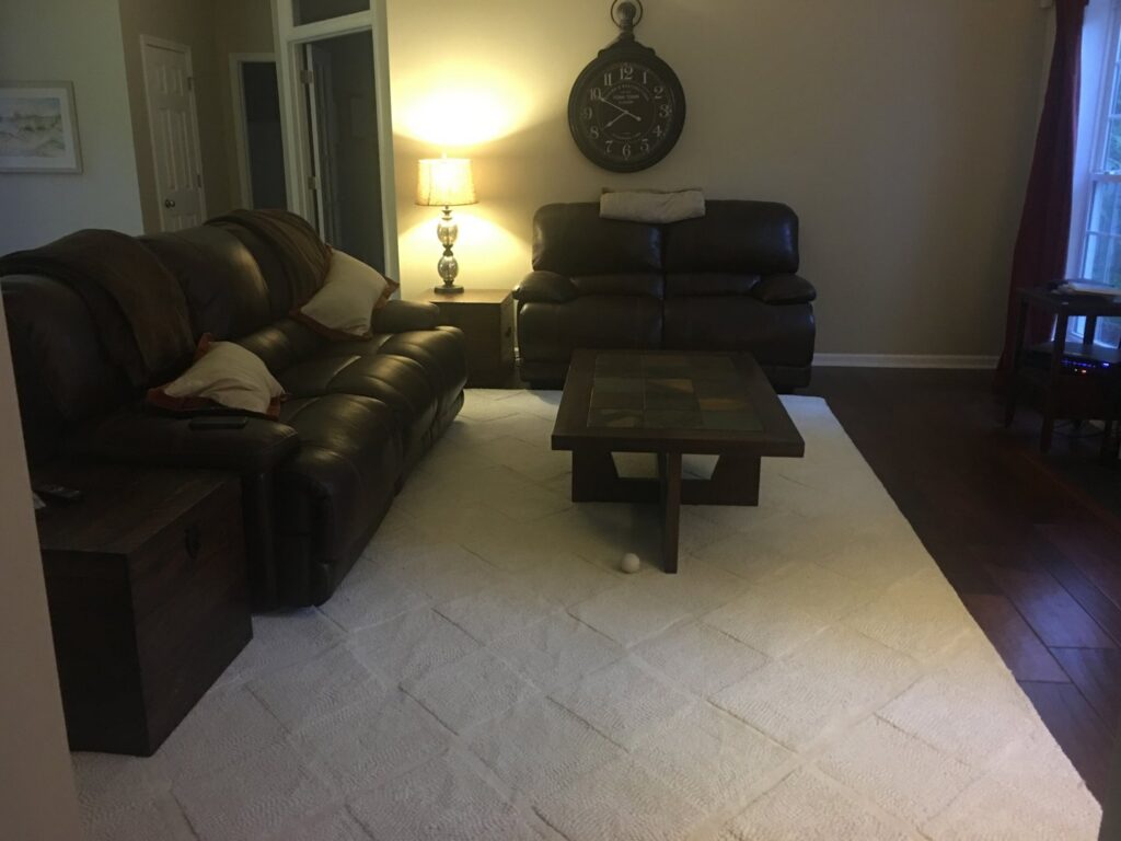 A large white textured area rug placed in a living room by The Floor Pavilion in Concord, NC