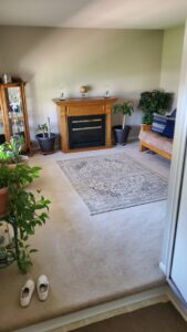 Cozy living room featuring new light beige carpet installed by Son Shine Floor Covering LTD, your carpet contractor in Warren, MI.