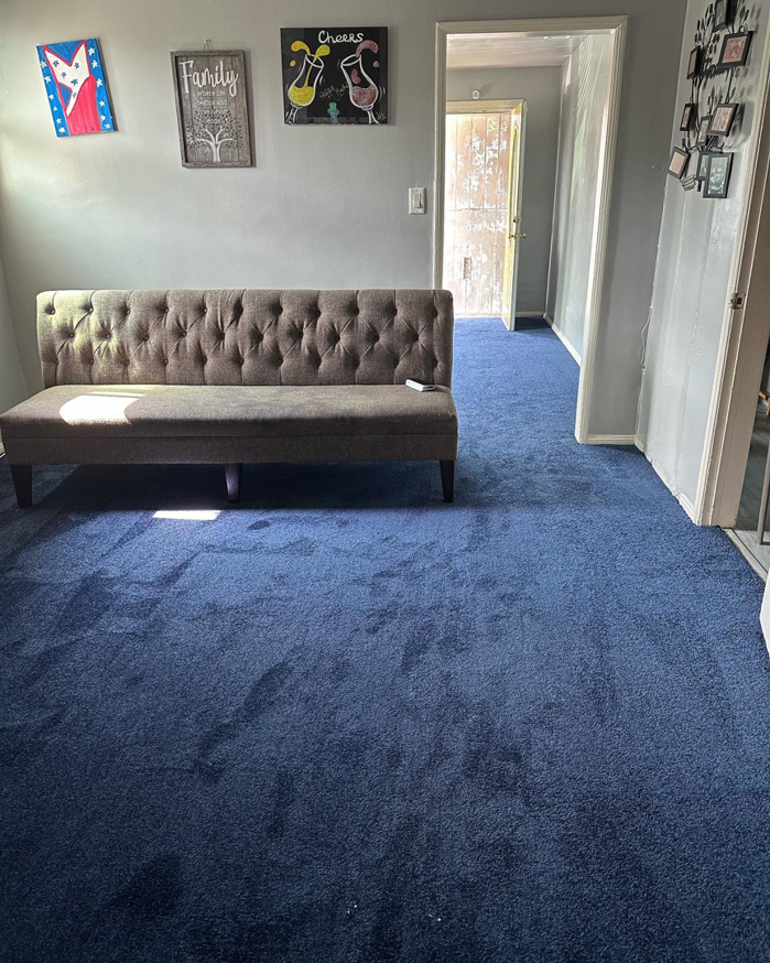 Living room with new blue carpet installed by Jimenez Carpet in Lynwood, CA