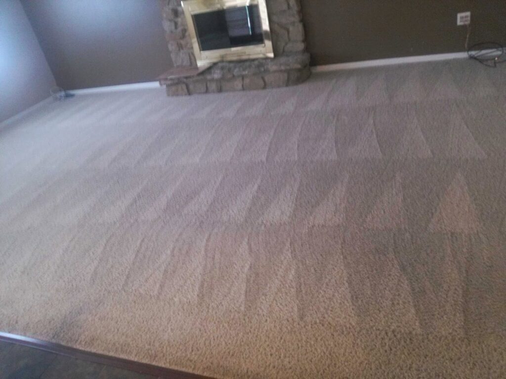 A clean, light-colored living room carpet with visible cleaning lines after professional service by Real Green Cleaning in Indianapolis, IN.