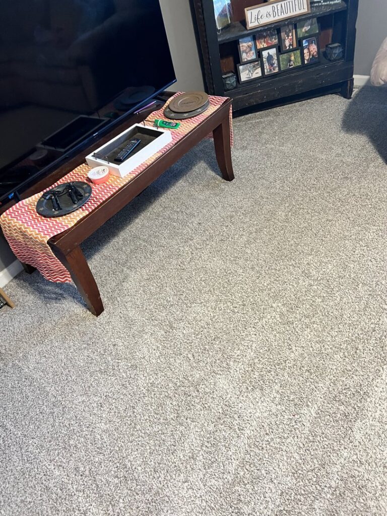 A clean, light-colored living room carpet after a professional cleaning by Sam I Am Carpet Cleaning in Rossville, IN