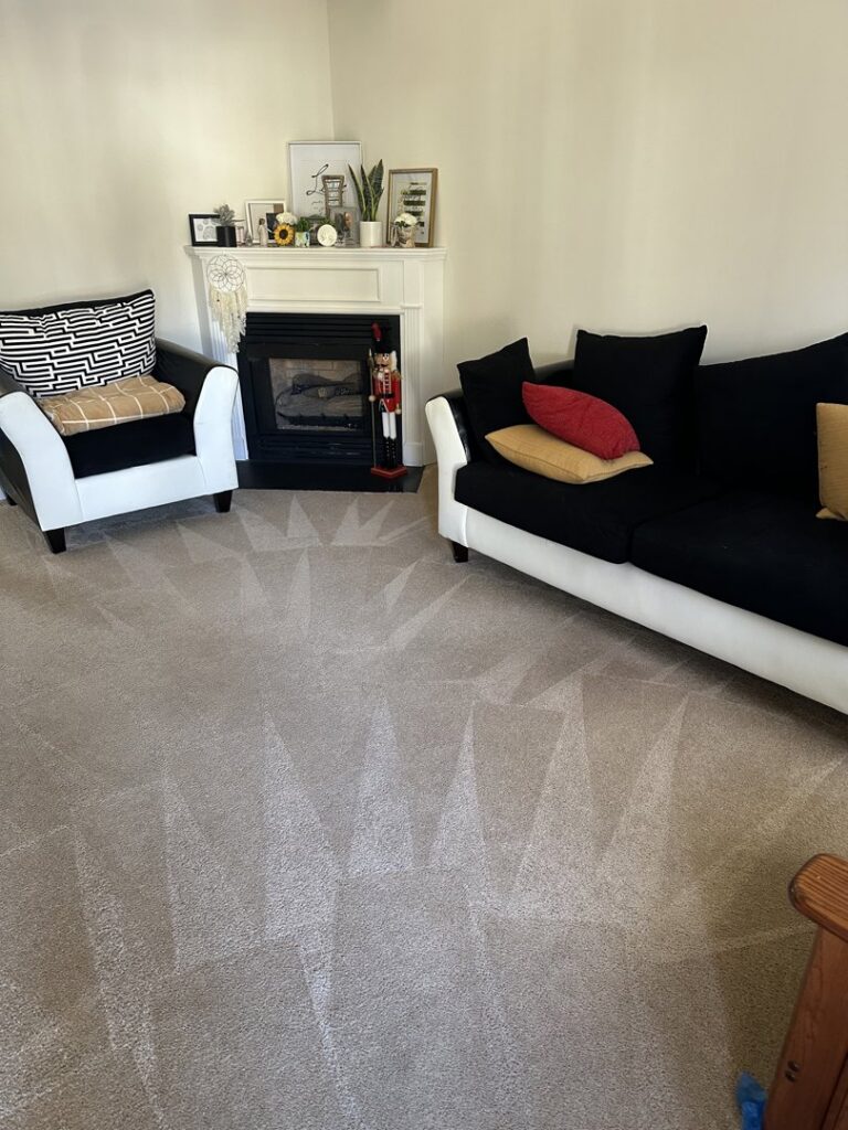 A living room carpet freshly cleaned with distinct patterns, highlighting the quality service of Ype Cleaning LLC in Monroe, NC.