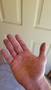 A living room carpet showing clean lines after professional cleaning by Alamogordo Carpet Cleaning in Alamogordo, NM.