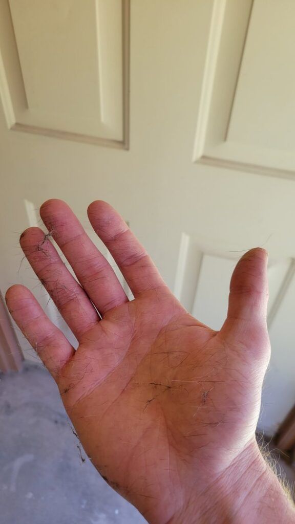 A living room carpet showing clean lines after professional cleaning by Alamogordo Carpet Cleaning in Alamogordo, NM.