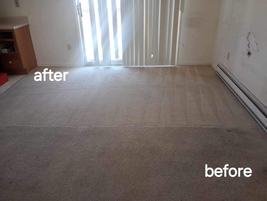 A living room carpet showing a clear before and after cleaning section by B&L Steam Clean & Water Extraction LLC in Columbia, MO