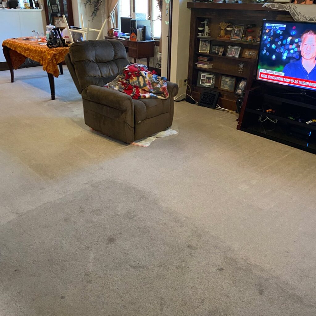 Living room carpet showing before and after cleaning results by Mark's Carpet Cleaning in Omaha, NE