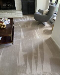 Living room carpet freshly cleaned with visible patterns by Done Right Carpet Cleaning Omaha, NE.