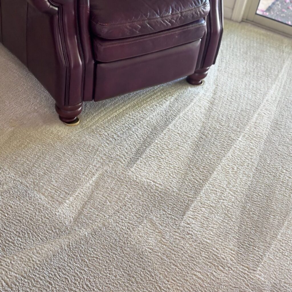 Living room carpet freshly cleaned with visible streaks by Renew Cleaning Services in Scottsdale, AZ.