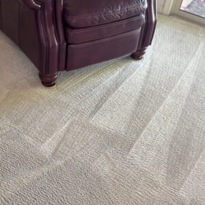 Living room carpet freshly cleaned with visible streaks by Renew Cleaning Services in Scottsdale, AZ.