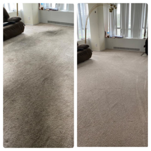 Before and after of a living room carpet professionally cleaned by Best Results Carpet & Upholstery Cleaning in Naperville, IL.