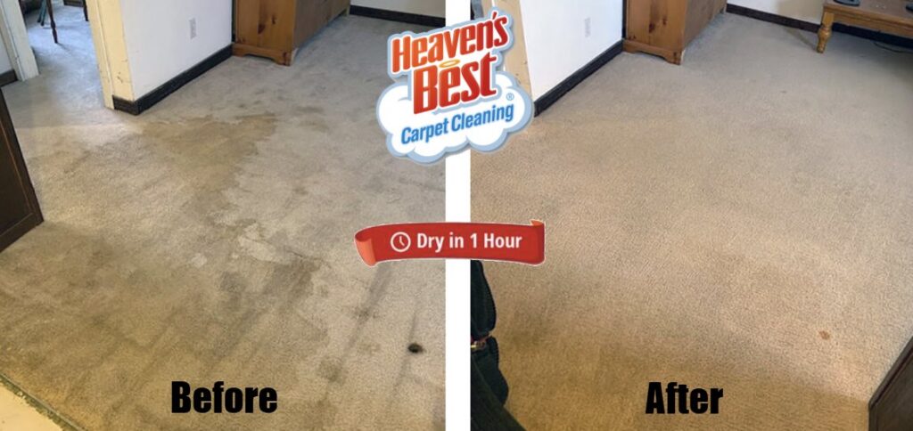 Before and after of a living room carpet cleaning job, highlighting the "Dry in 1 Hour" service by Heaven's Best Carpet Cleaning of Rio Rancho ABQ.