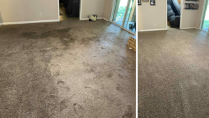 Before and after a living room carpet cleaning by Two Sheas Restoration, showcasing a dramatic improvement in Tulsa, OK.